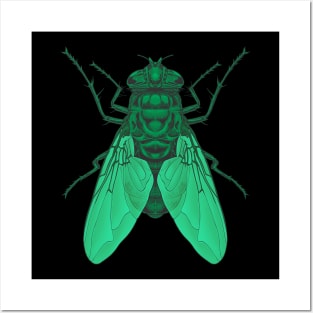 Bottle Fly Posters and Art